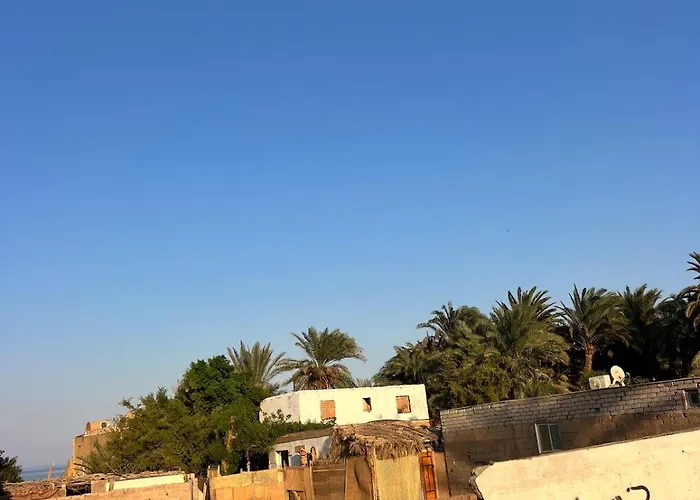 Oasidahabasala