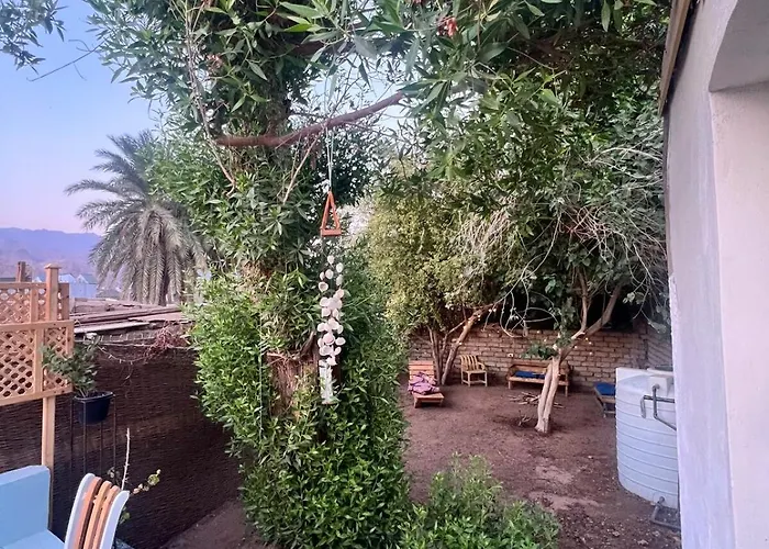 شقة Oasidahabasala *