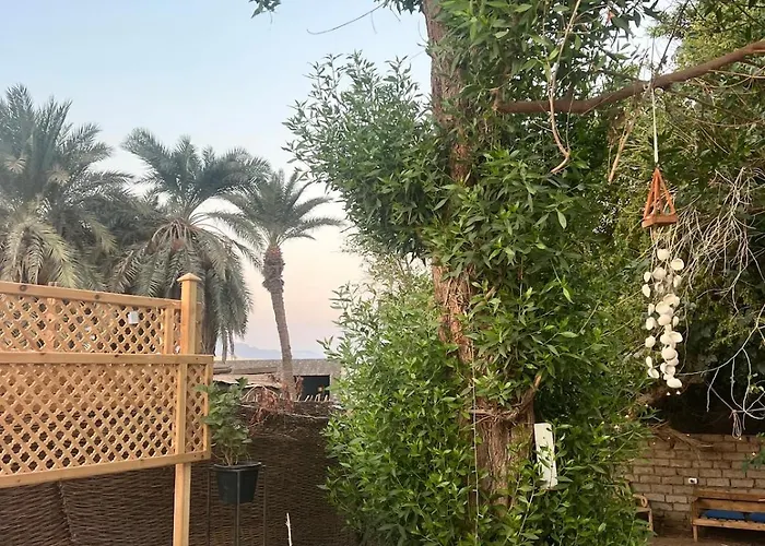 Oasidahabasala * دهب