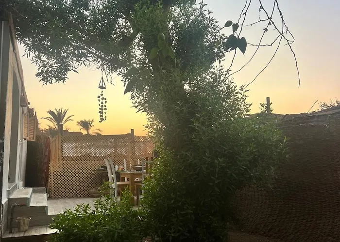 Oasidahabasala دهب