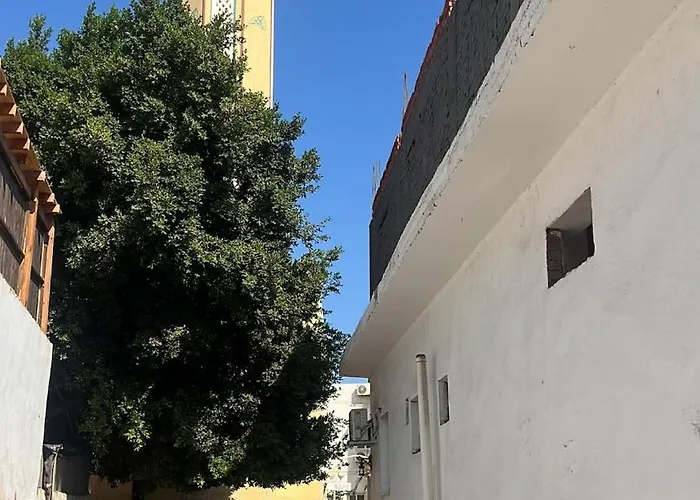Oasidahabasala *