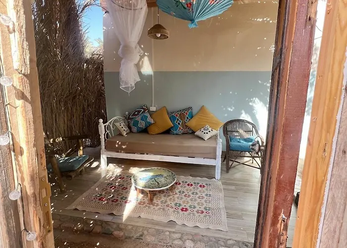 Oasidahabasala