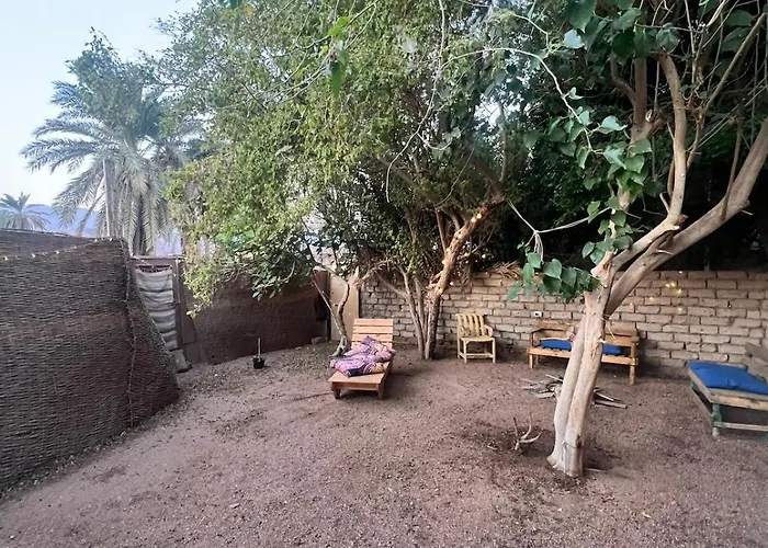 Oasidahabasala
