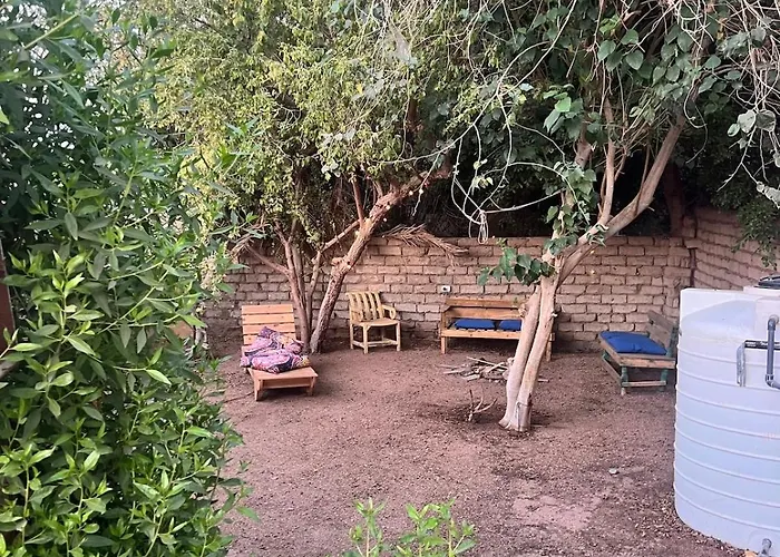 Oasidahabasala