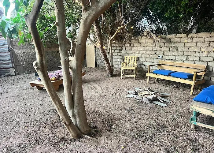 Oasidahabasala دهب