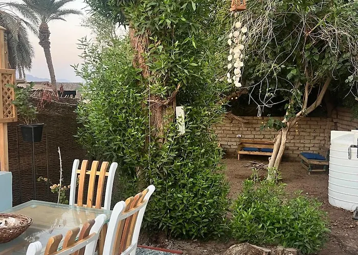 Oasidahabasala شقة *